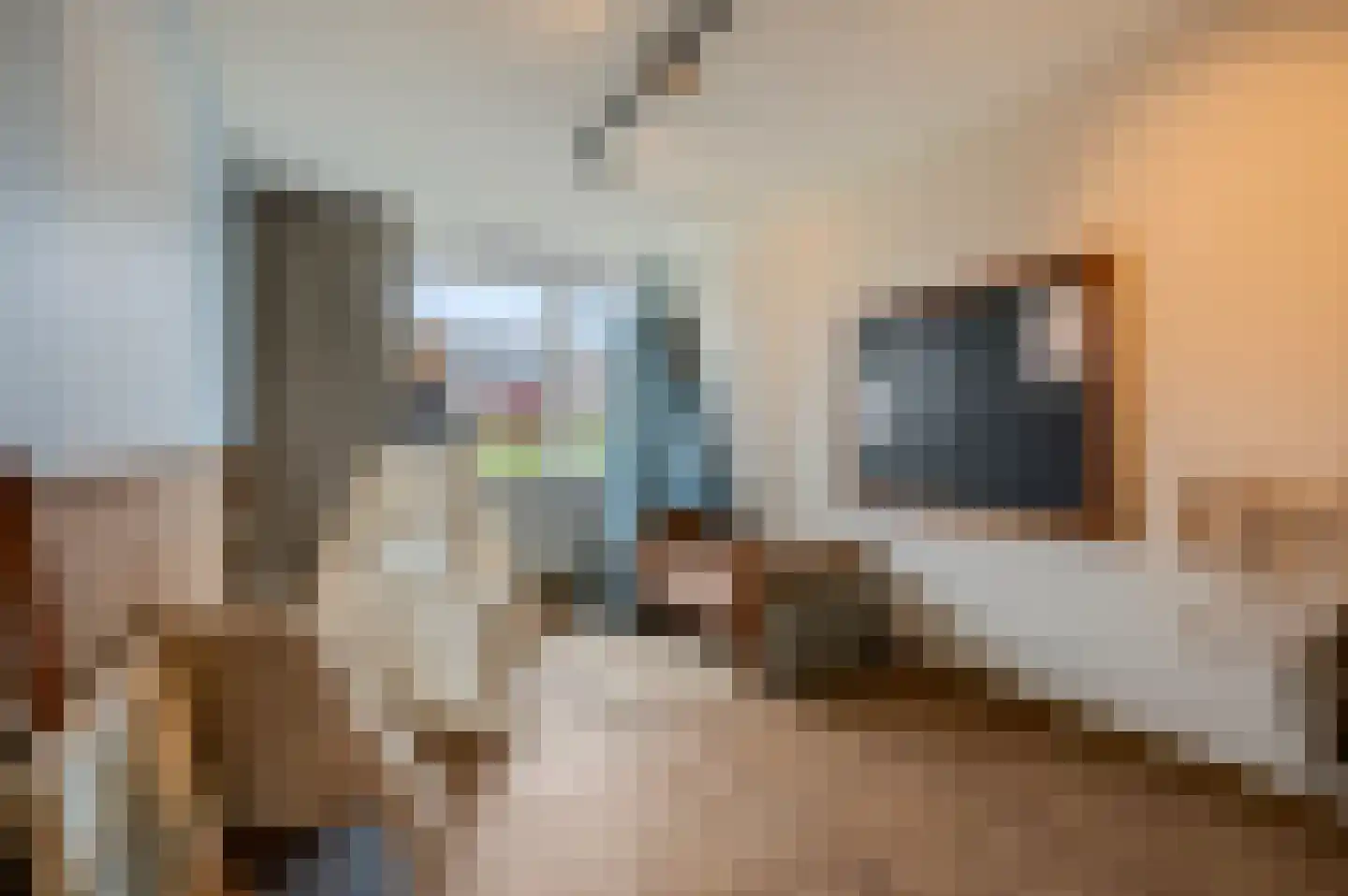 Castor 5 Veenendaal thumbnail 38