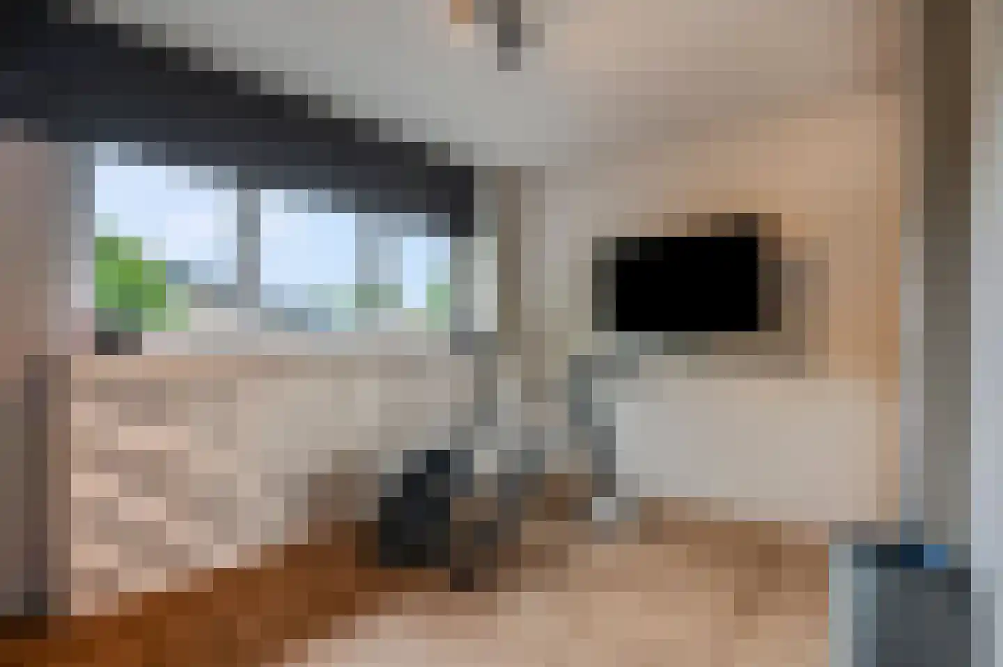 Castor 5 Veenendaal thumbnail 40