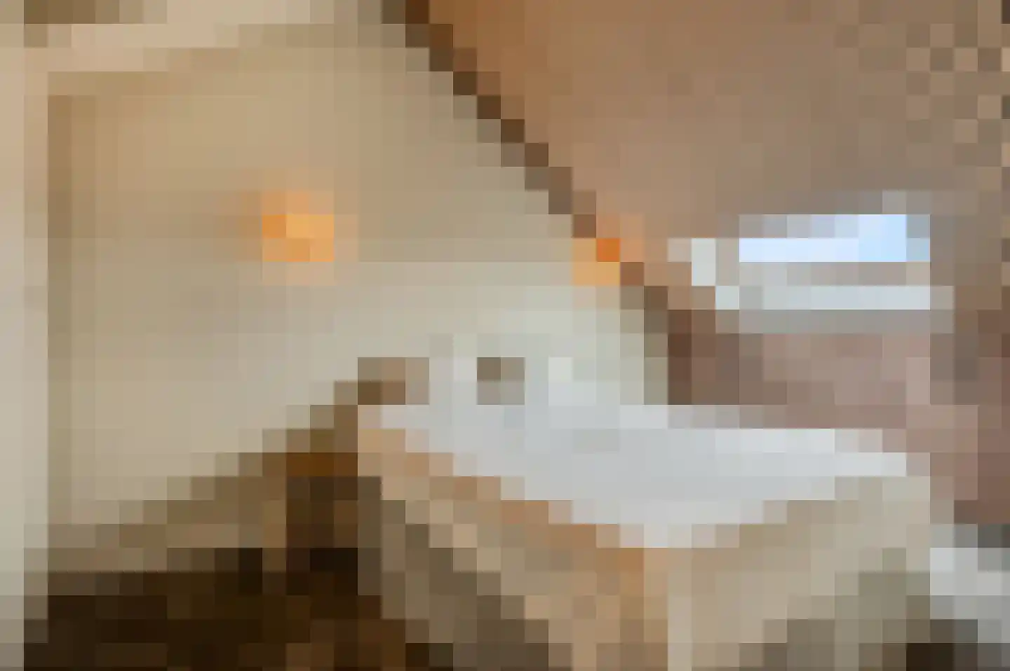 Castor 5 Veenendaal thumbnail 46