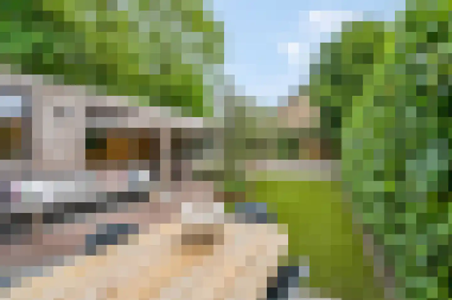 Castor 5 Veenendaal thumbnail 56