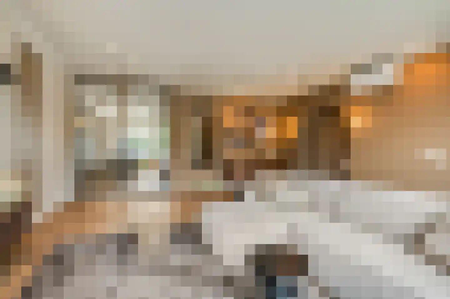 Castor 5 Veenendaal thumbnail 8