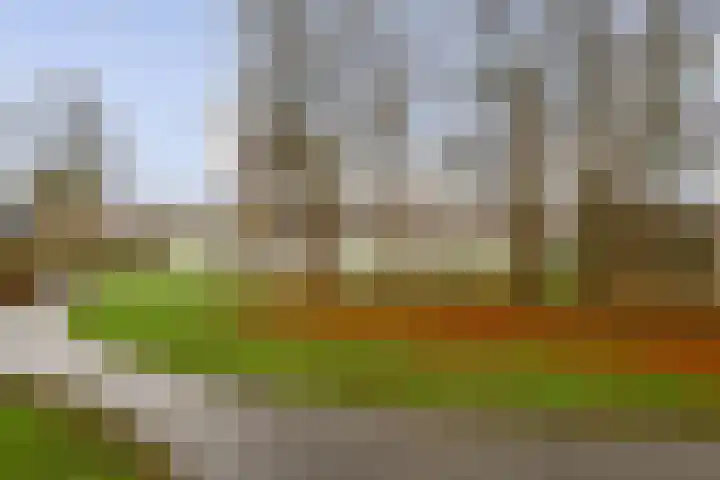Castor 60 Berkel en Rodenrijs thumbnail 32