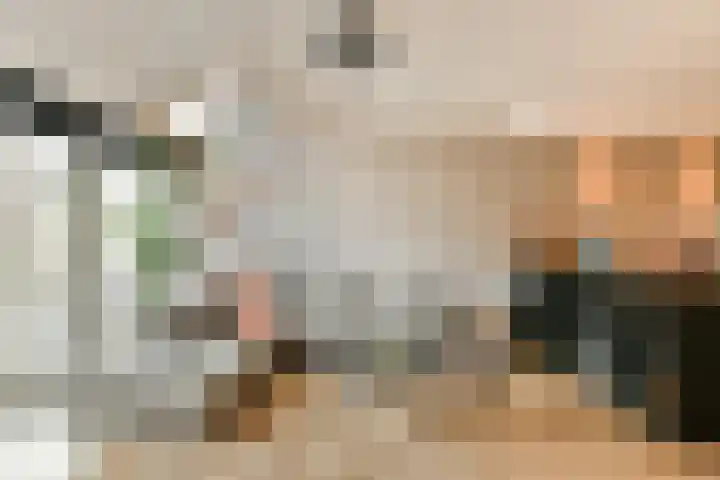 Castor 60 Berkel en Rodenrijs thumbnail 7