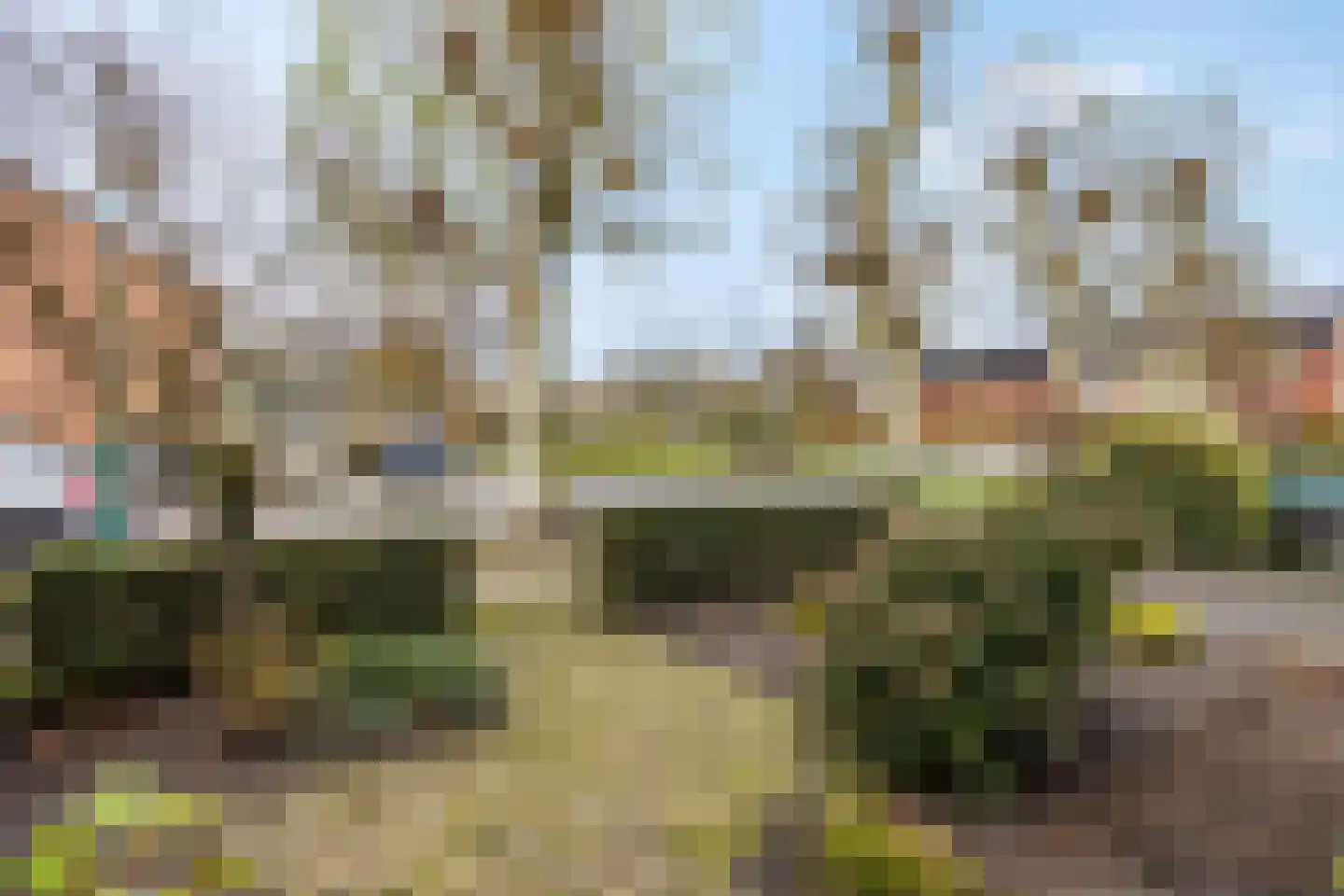 Castor 62 Veenendaal thumbnail 12