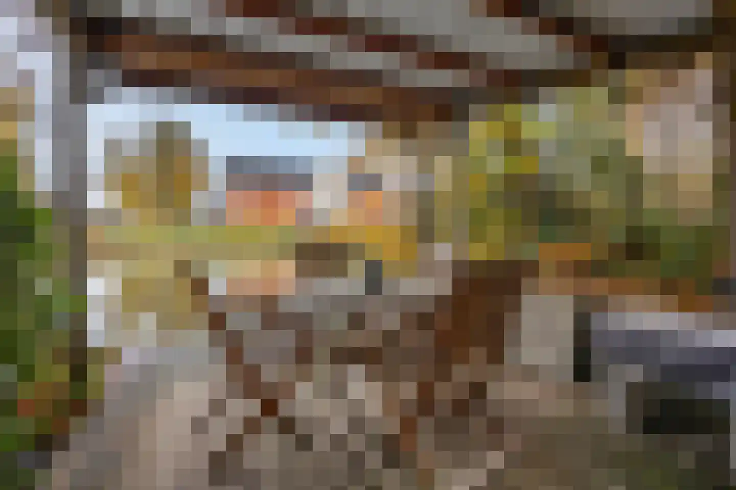 Castor 62 Veenendaal thumbnail 4