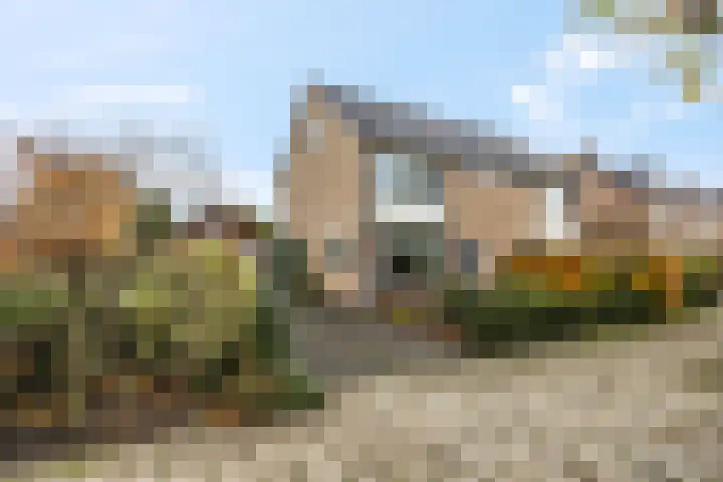 Castor 62 Veenendaal thumbnail 5