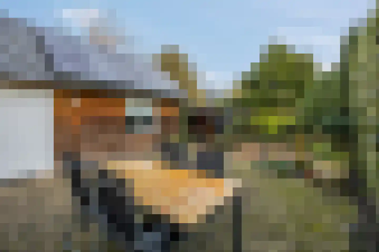 Castor 62 Veenendaal thumbnail 56