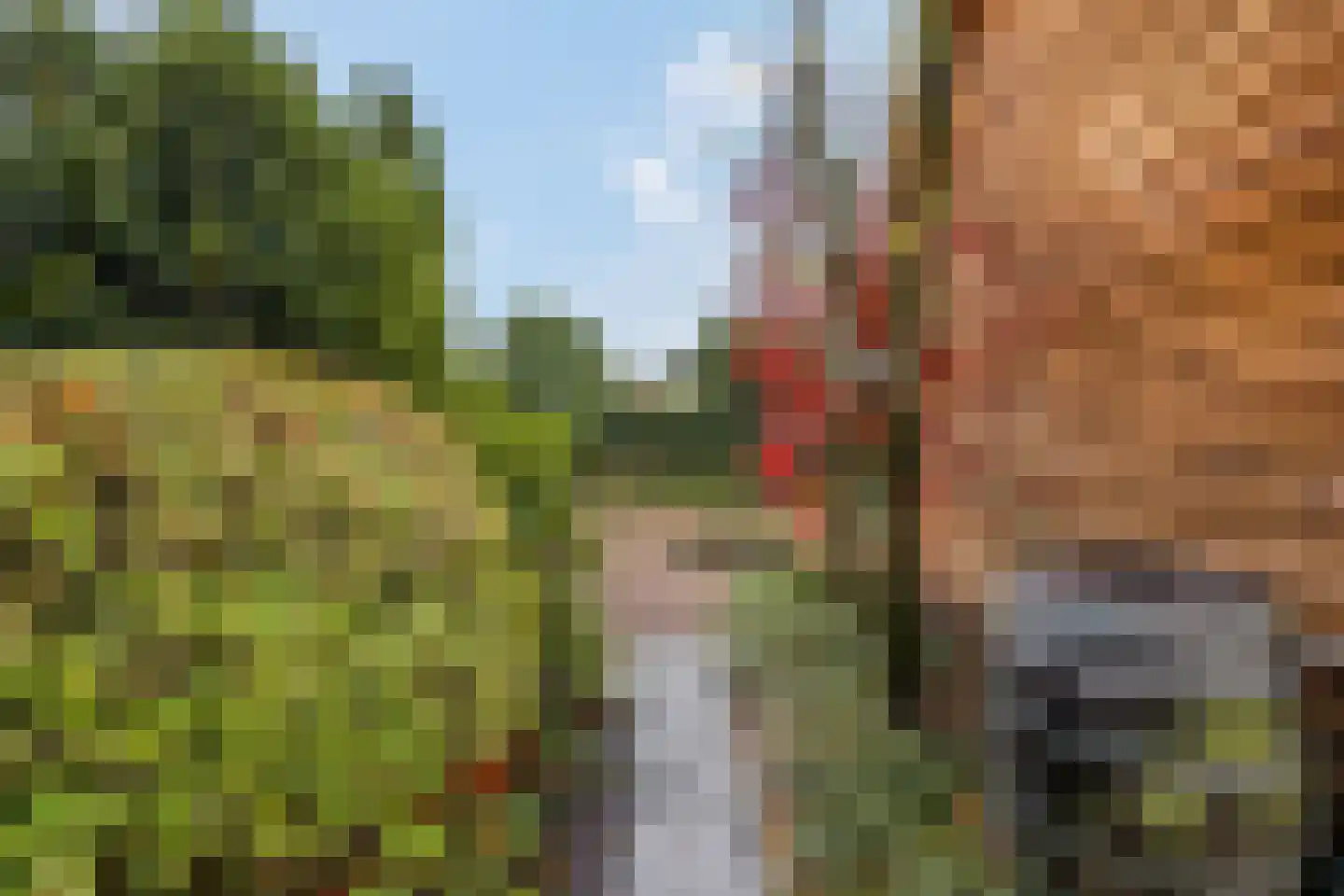 Castor 62 Veenendaal thumbnail 65