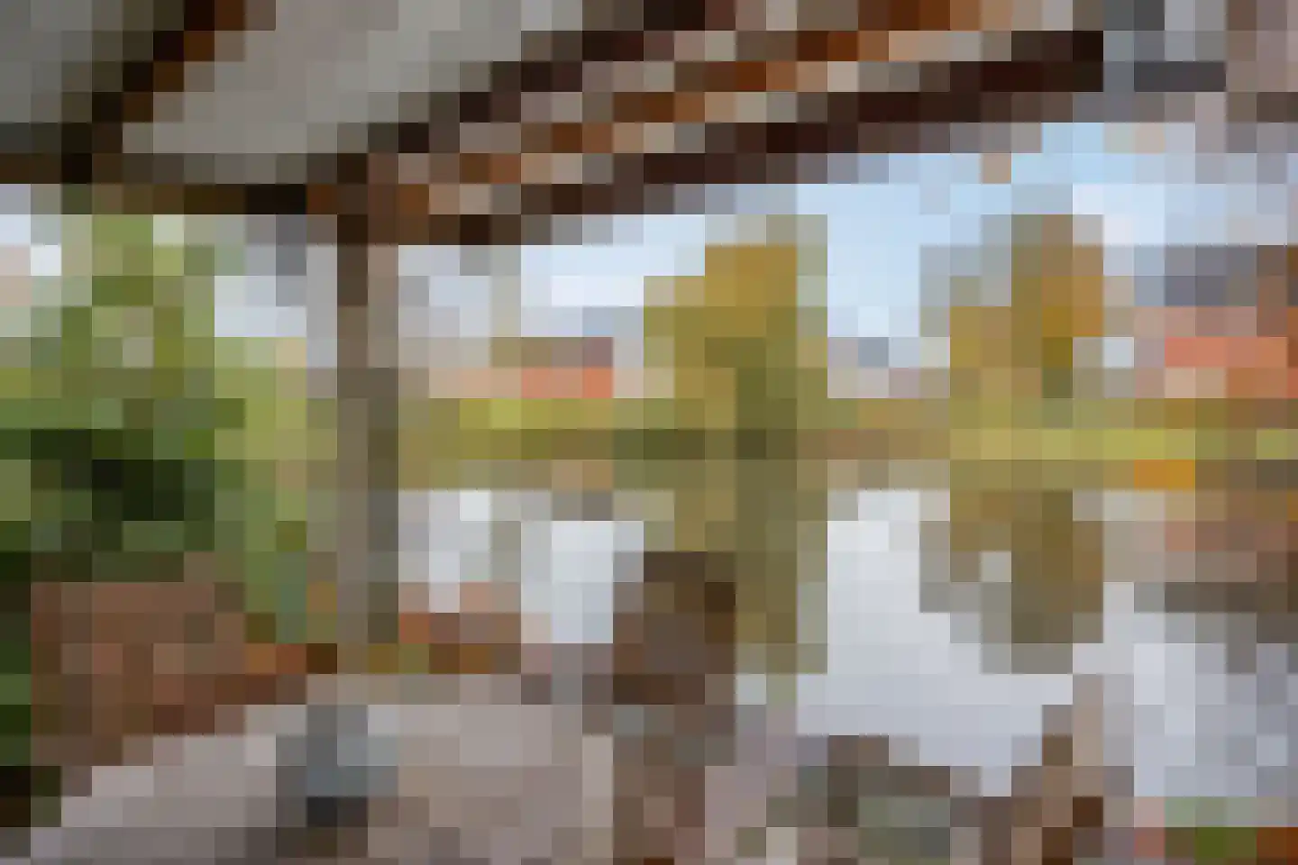 Castor 62 Veenendaal thumbnail 69