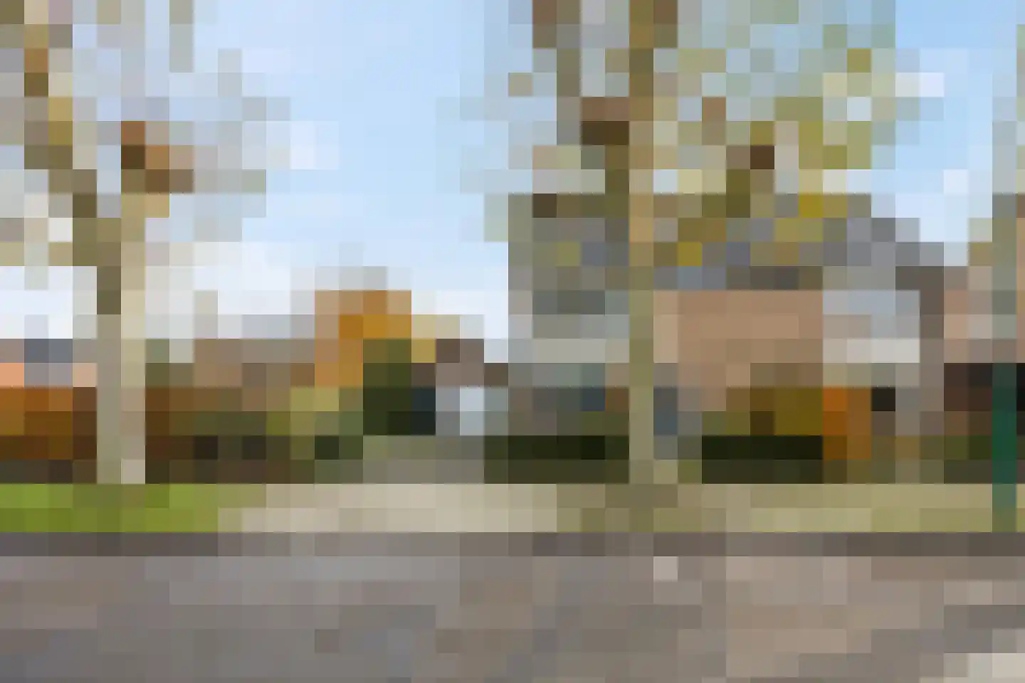 Castor 62 Veenendaal thumbnail 7