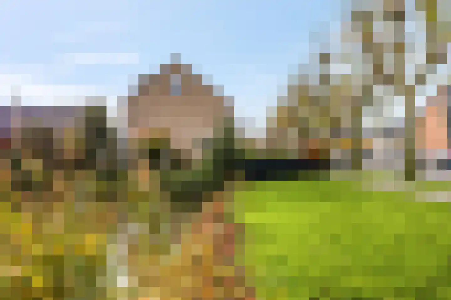 Castor 62 Veenendaal thumbnail 75