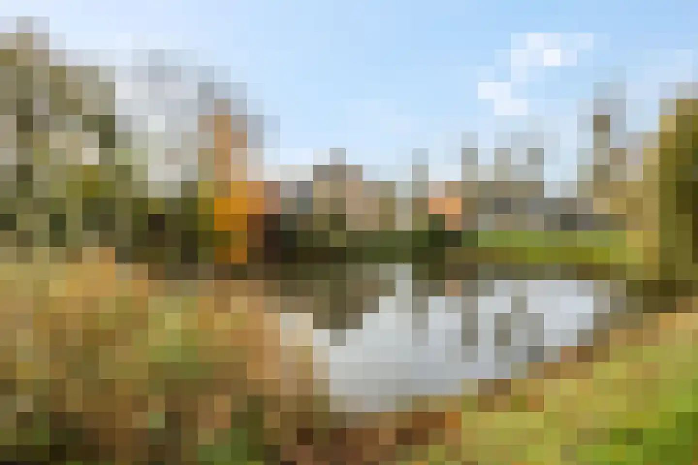 Castor 62 Veenendaal thumbnail 76