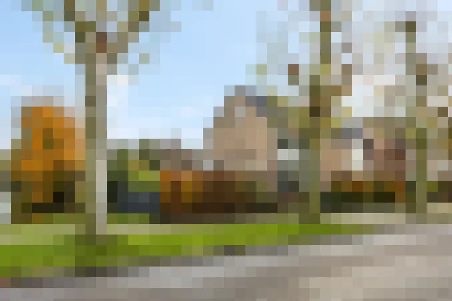 Castor 62 Veenendaal thumbnail 8