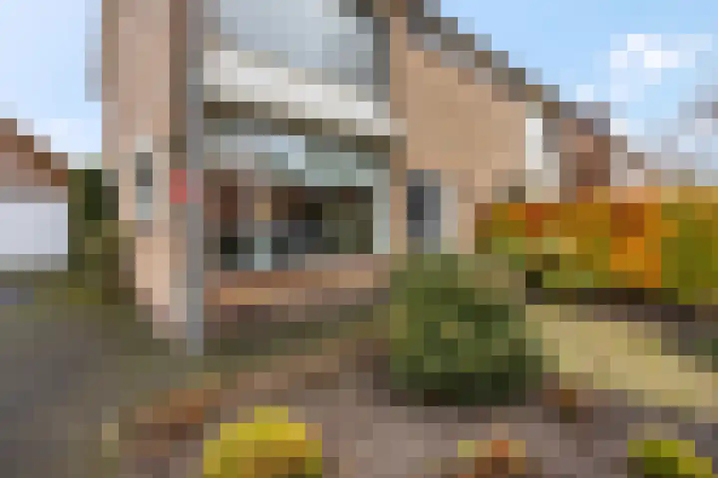 Castor 62 Veenendaal thumbnail 9