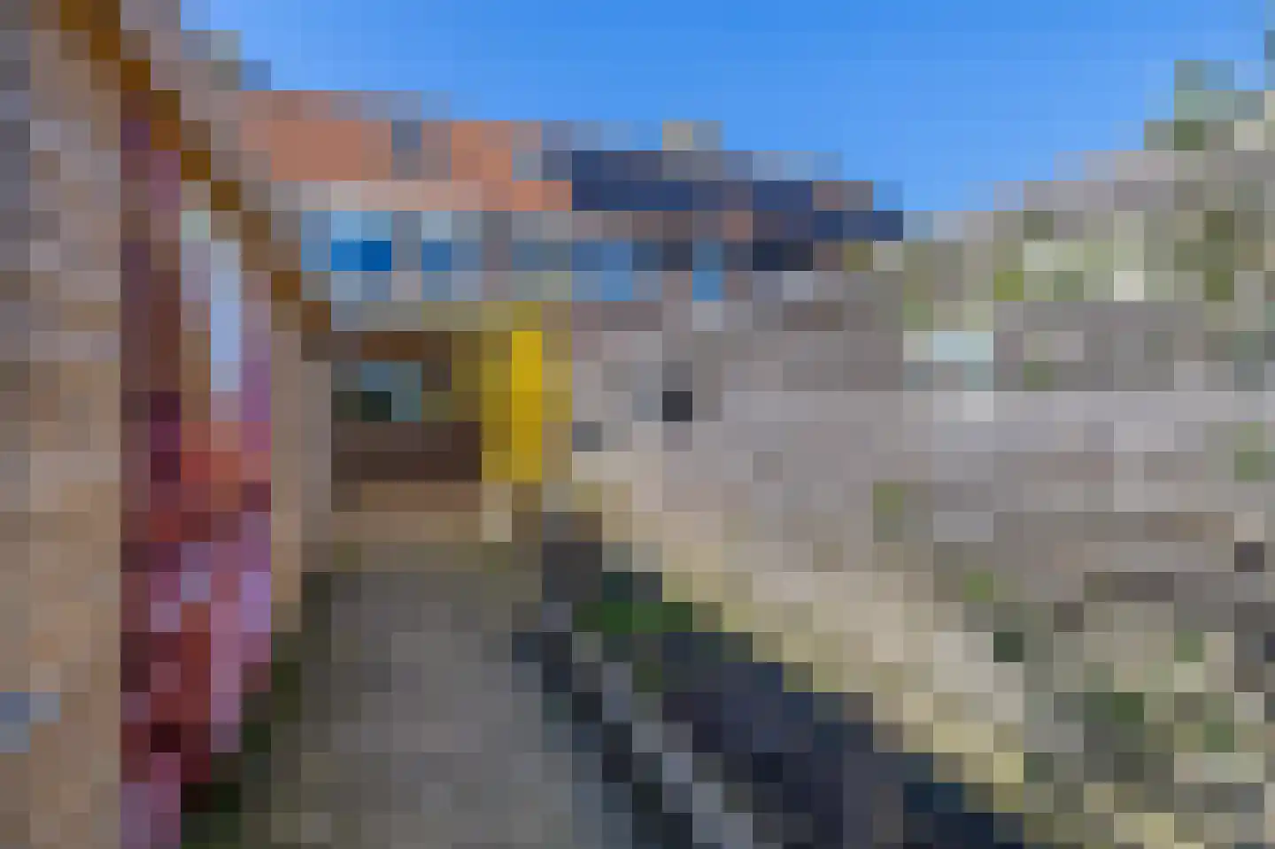 Castor 65 Lemmer thumbnail 17