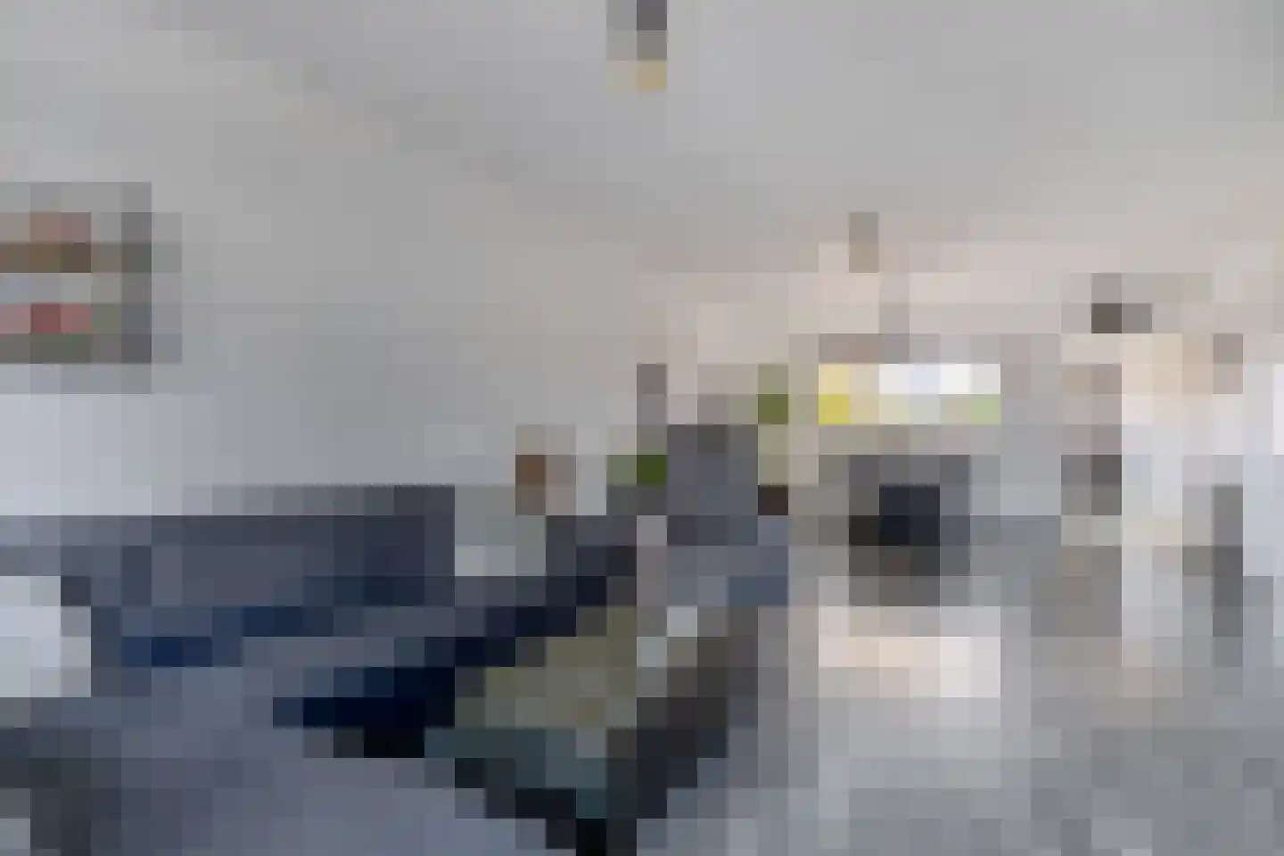 Castor 65 Lemmer thumbnail 7