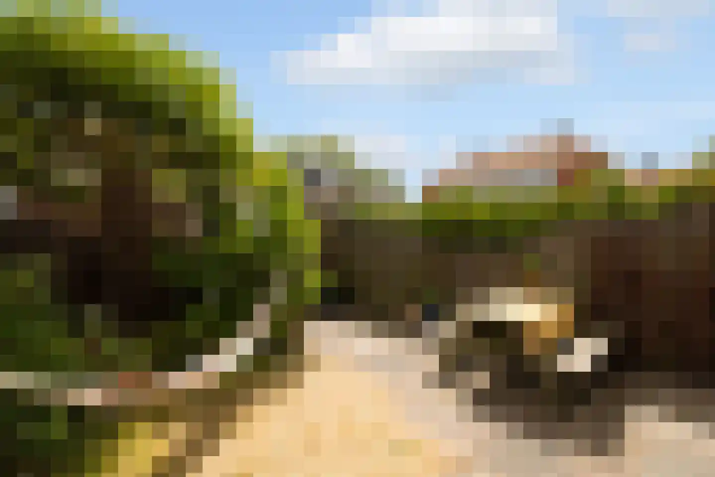 Castorplein 16 Amsterdam thumbnail 30