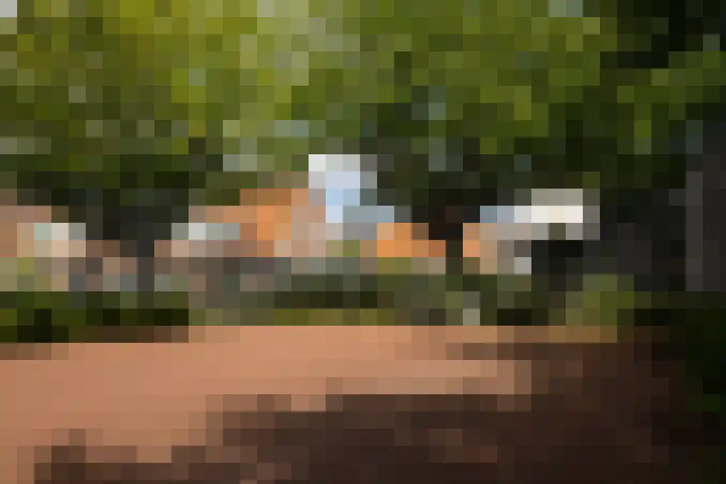 Castorplein 16 Amsterdam thumbnail 32