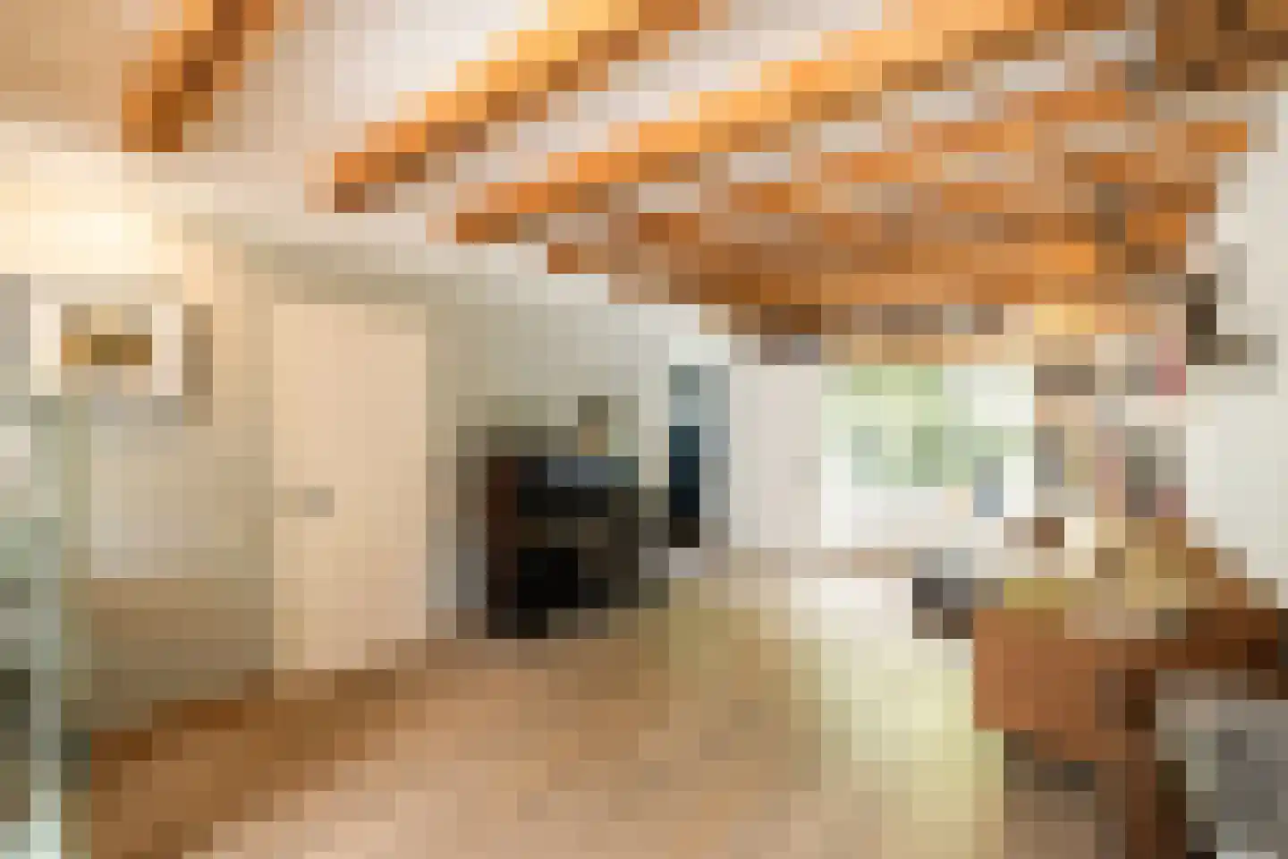 Castorplein 16 Amsterdam thumbnail 9