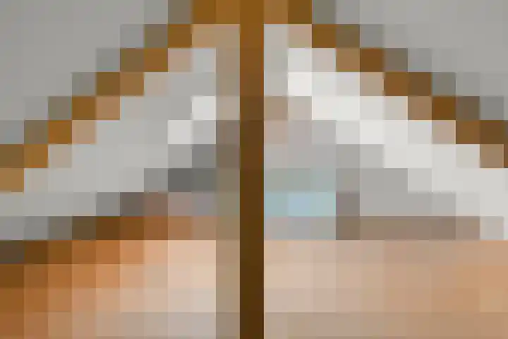 Castorstraat 11 Purmerend thumbnail 25