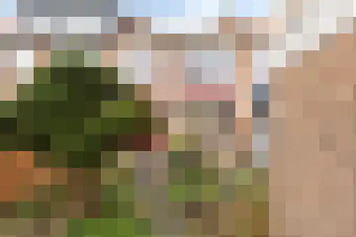 Castorstraat 11 Purmerend thumbnail 28
