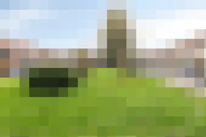 Castorstraat 11 Purmerend thumbnail 31