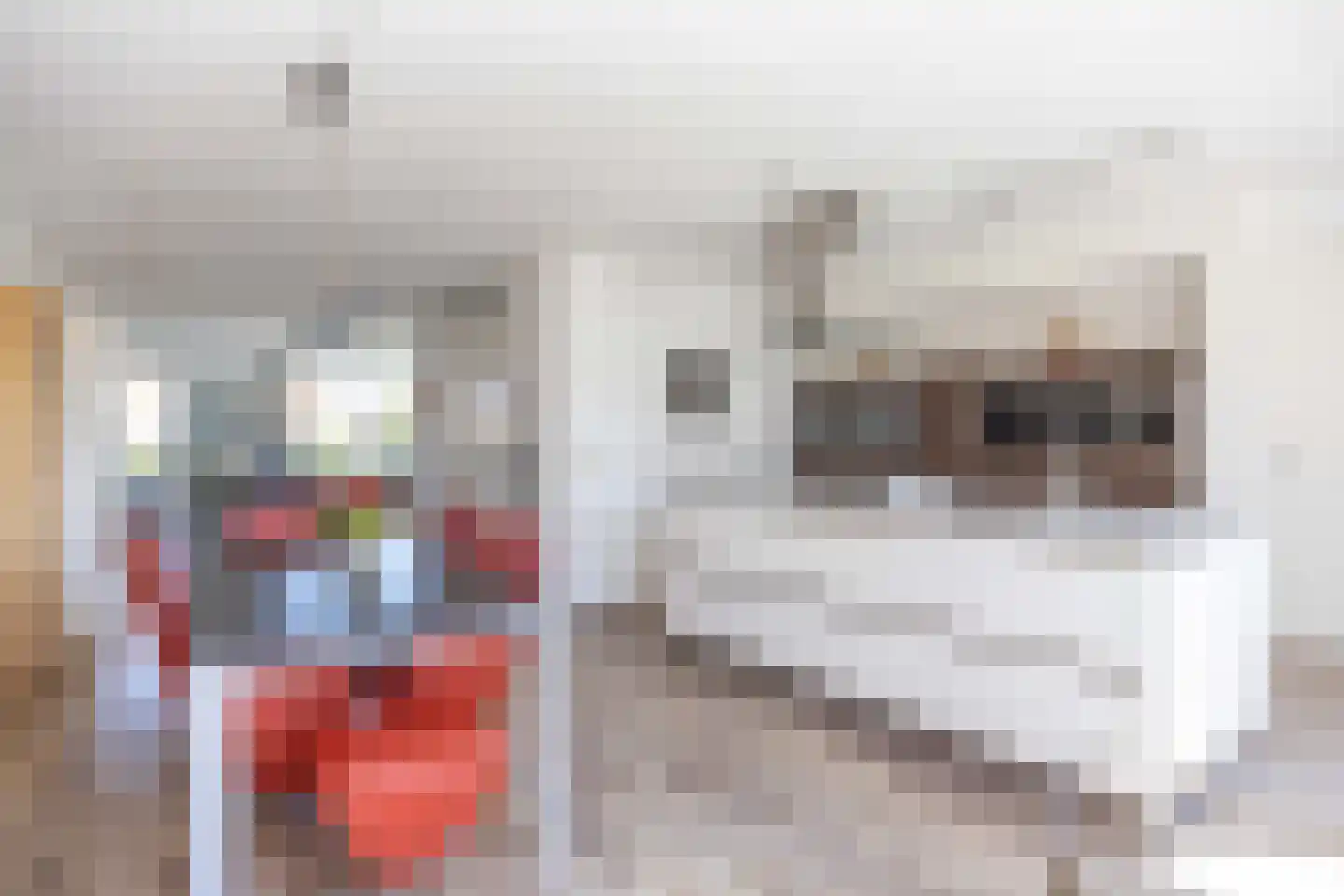 Castorstraat 11 Zuidhorn thumbnail 17