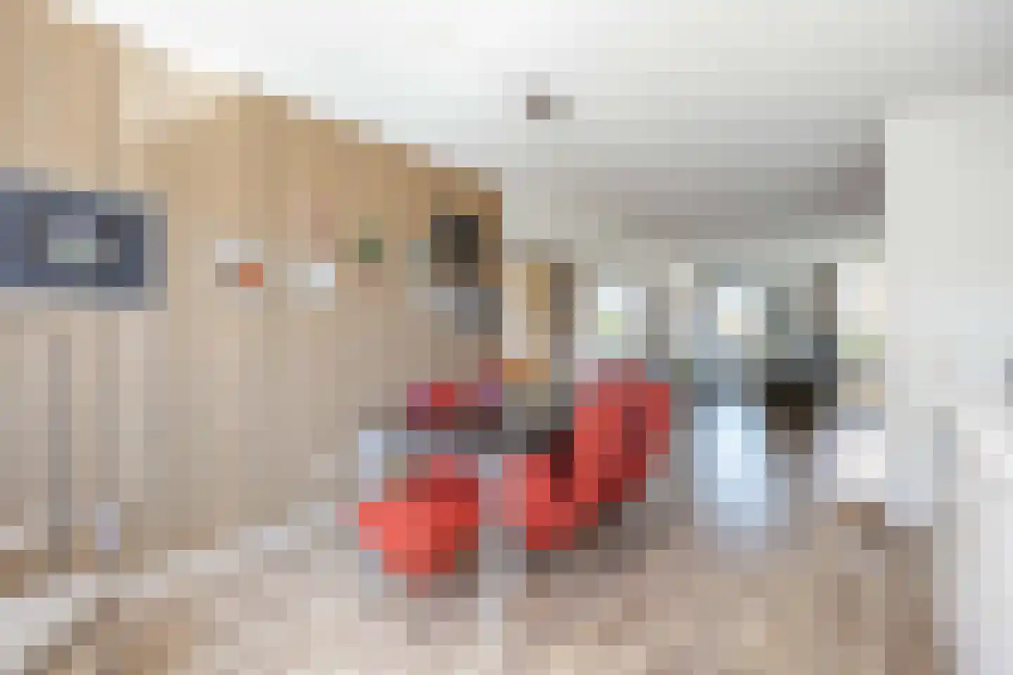 Castorstraat 11 Zuidhorn thumbnail 18