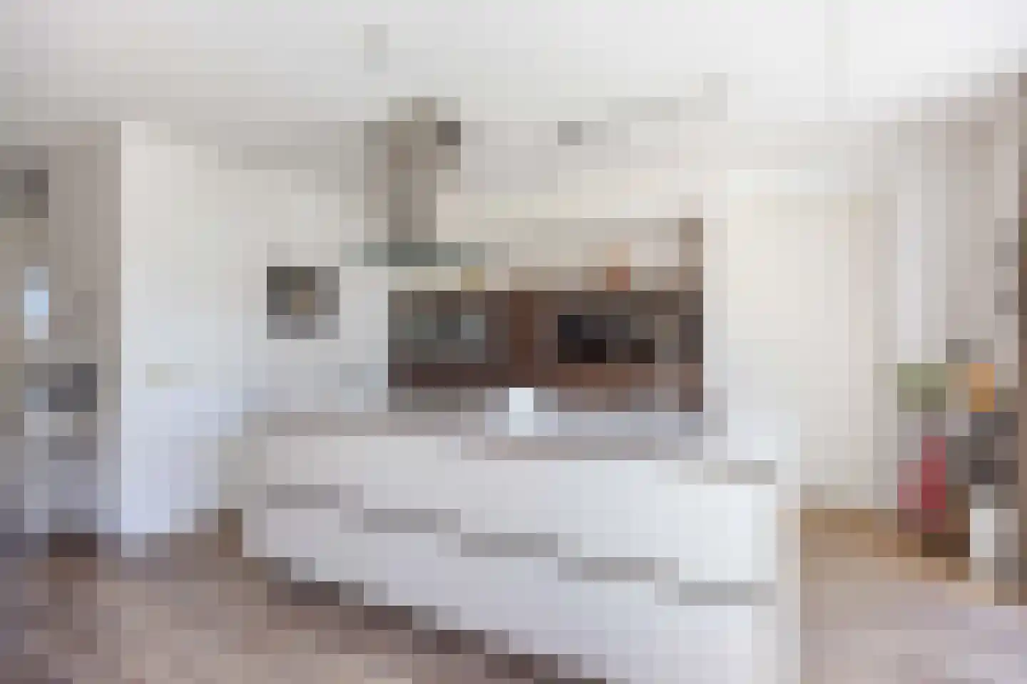 Castorstraat 11 Zuidhorn thumbnail 19