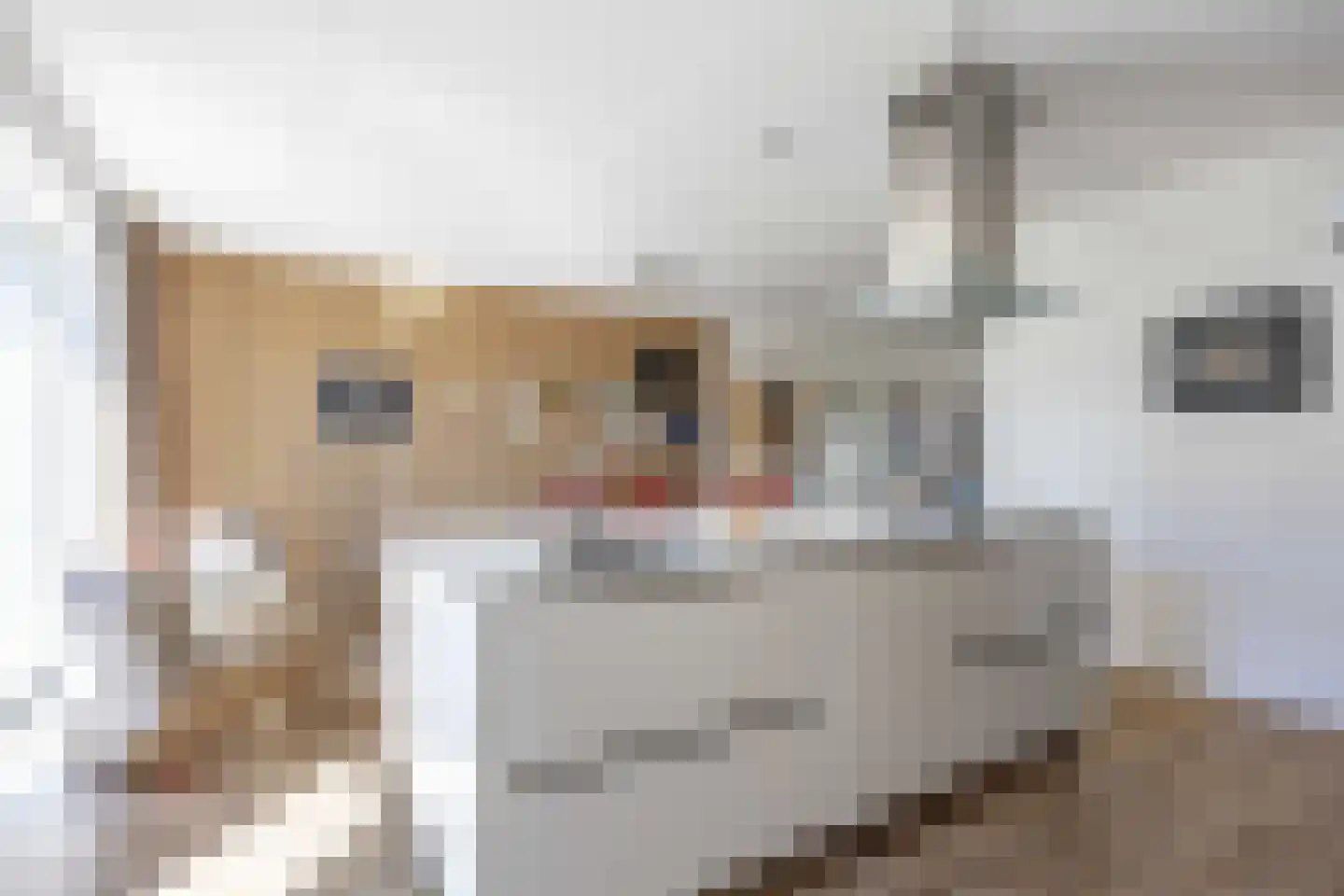Castorstraat 11 Zuidhorn thumbnail 20