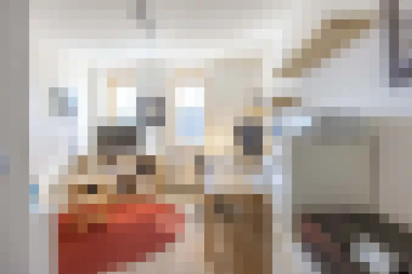 Castorstraat 11 Zuidhorn thumbnail 28