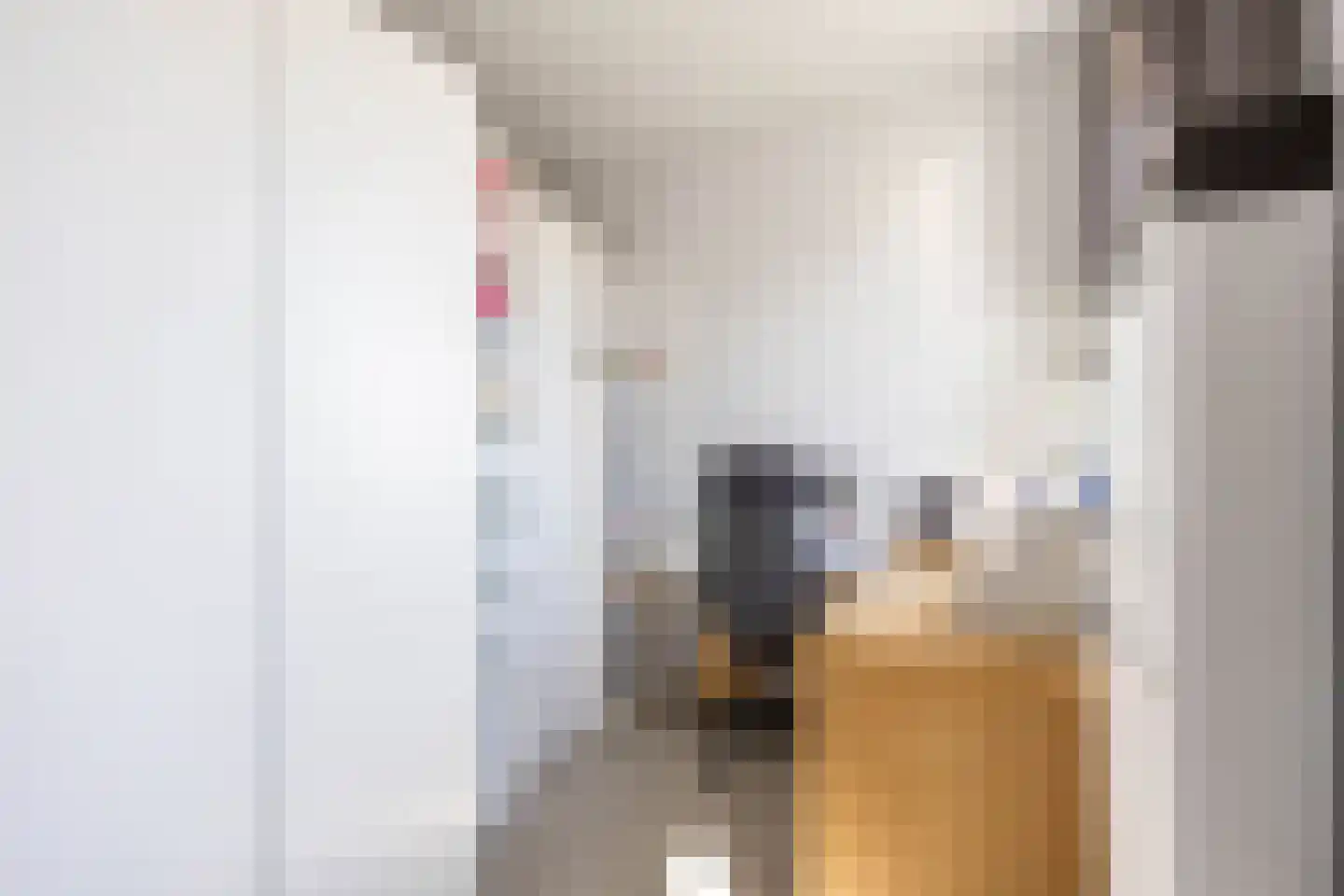 Castorstraat 11 Zuidhorn thumbnail 33