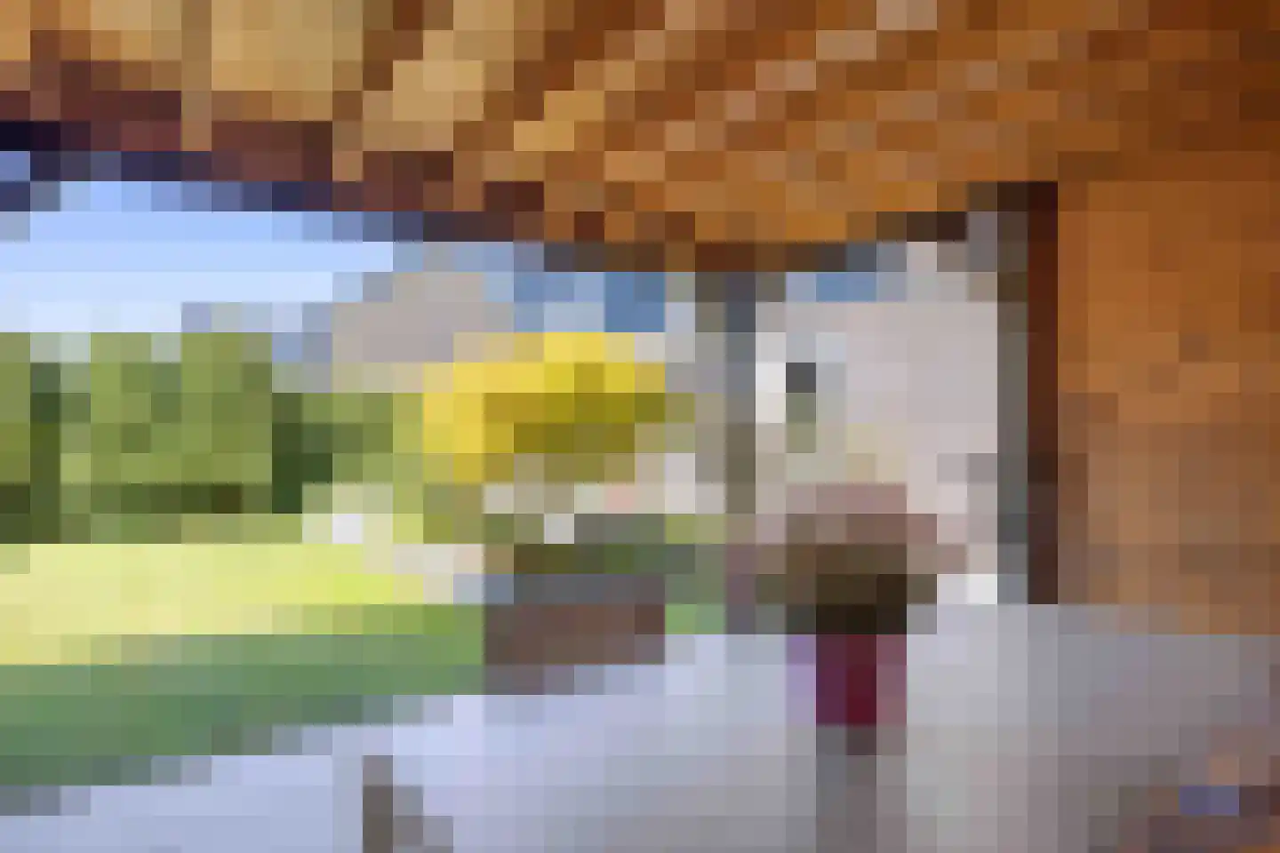 Castorstraat 11 Zuidhorn thumbnail 42