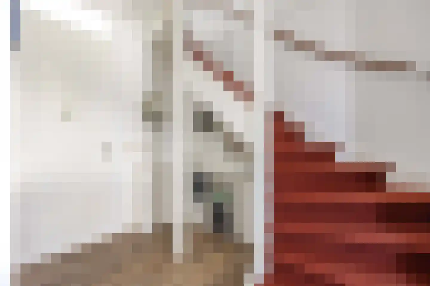 Castorstraat 11 Zuidhorn thumbnail 9