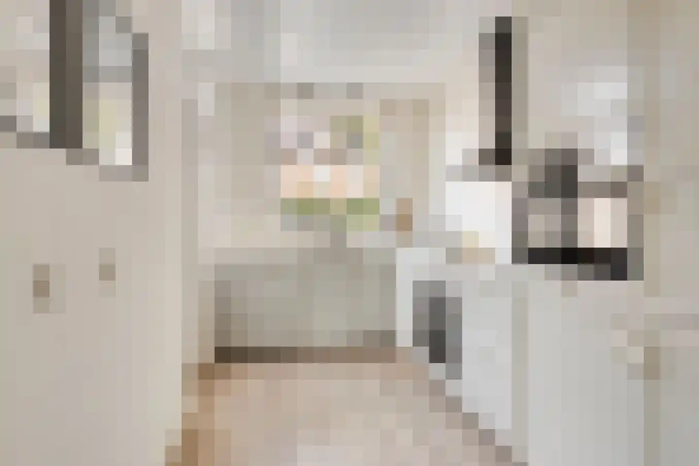 Castorstraat 14 Purmerend thumbnail 4