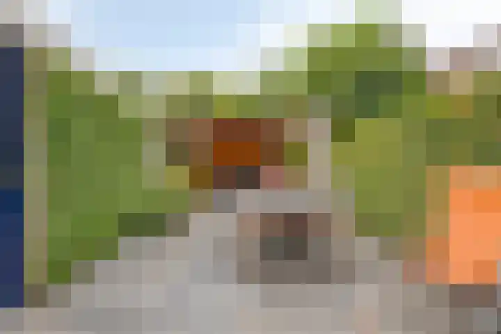 Castorstraat 16 Hardenberg thumbnail 35