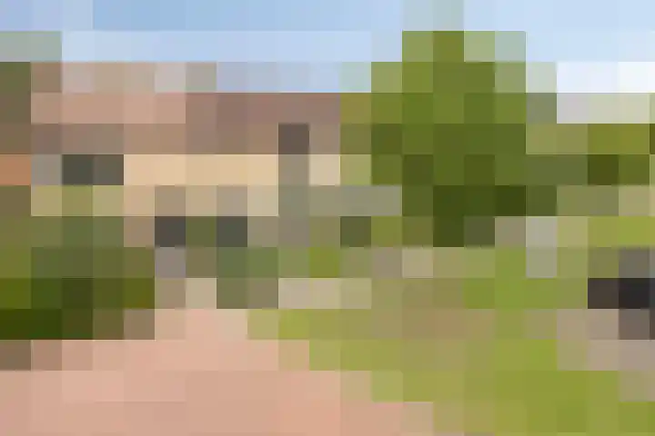 Castorstraat 16 Hardenberg thumbnail 4