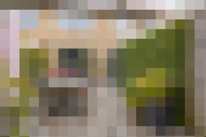 Castorstraat 16 Hardenberg thumbnail 42