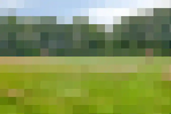 Castorstraat 16 Hardenberg thumbnail 47