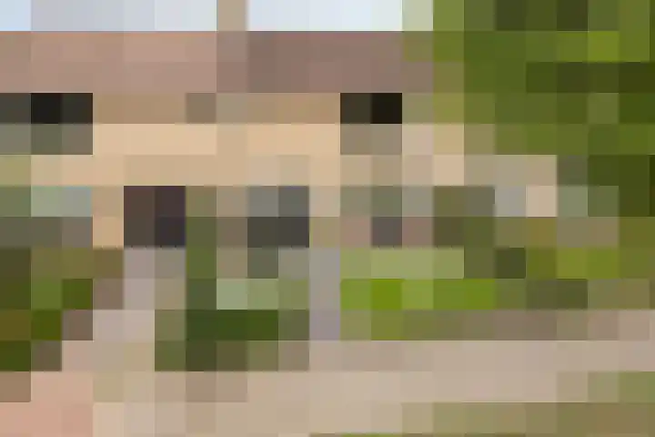 Castorstraat 16 Hardenberg thumbnail 5