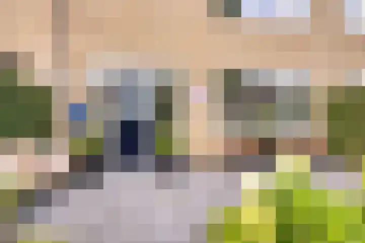 Castorstraat 16 Hardenberg thumbnail 6