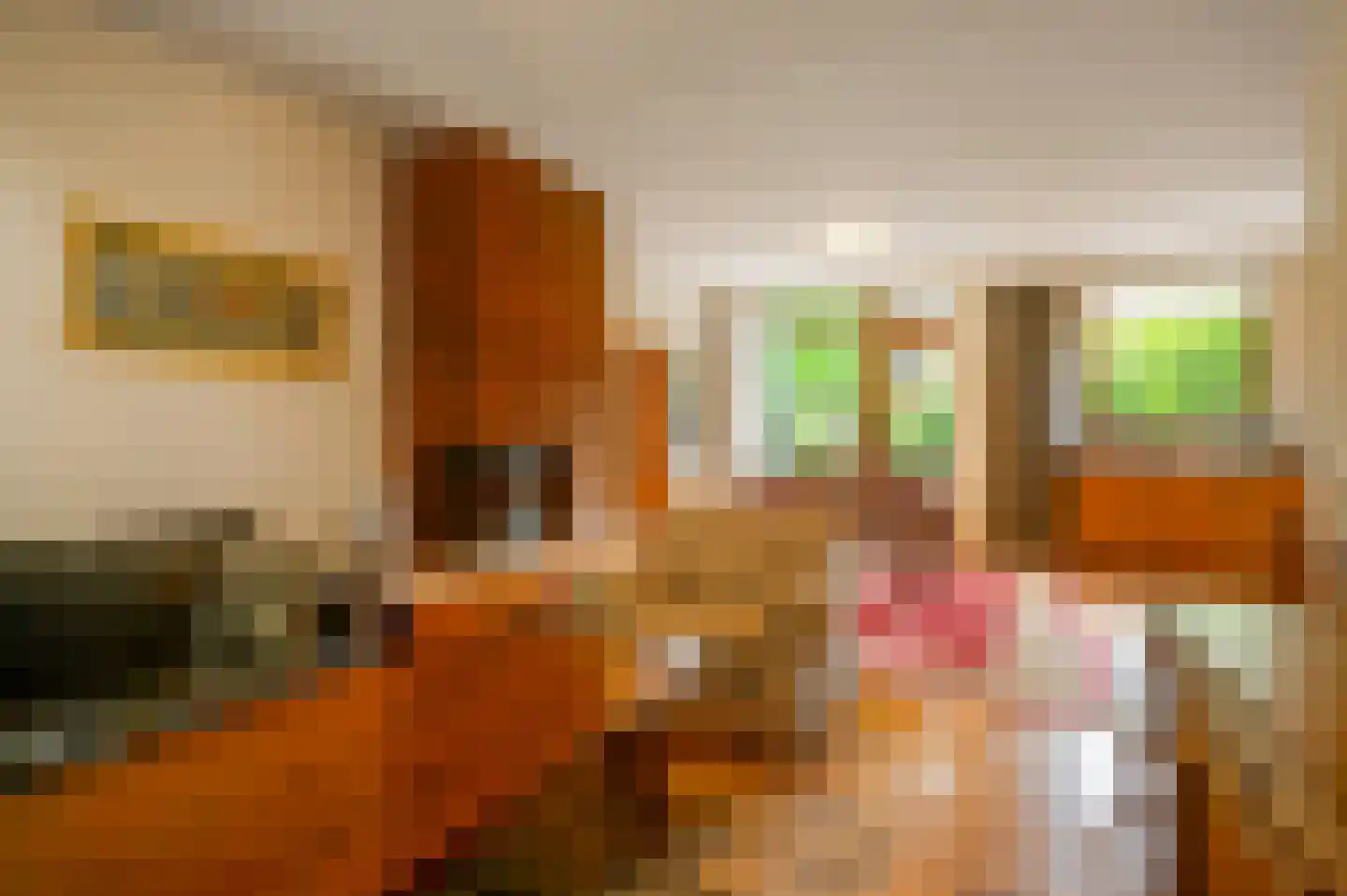 Castorstraat 24 Roermond thumbnail 12