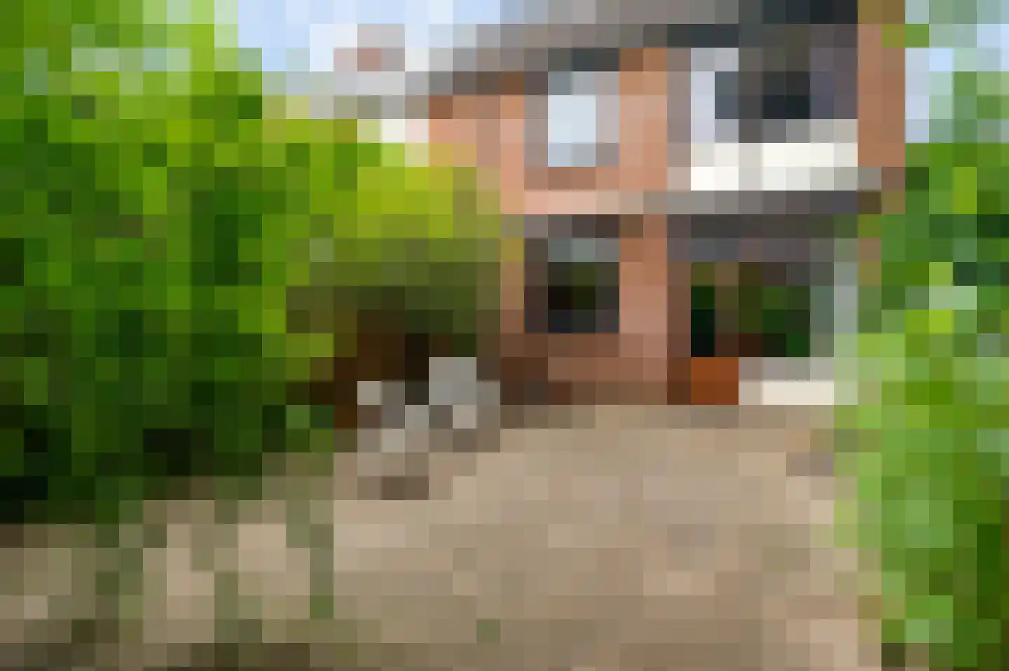 Castorstraat 24 Roermond thumbnail 19