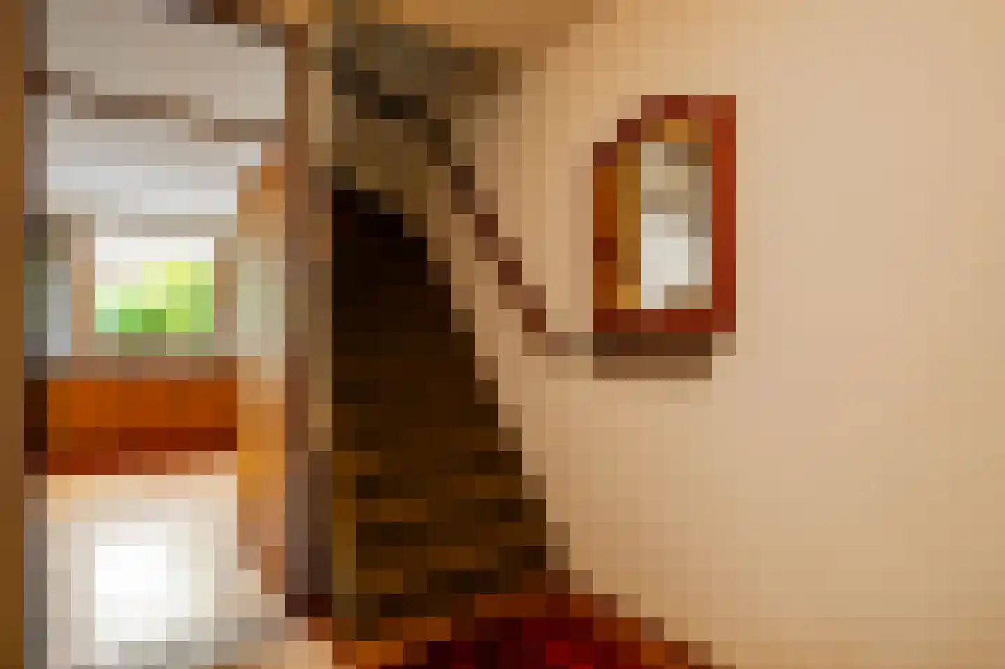 Castorstraat 24 Roermond thumbnail 7