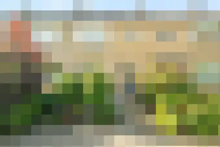 Castorstraat 28 in Oudorp