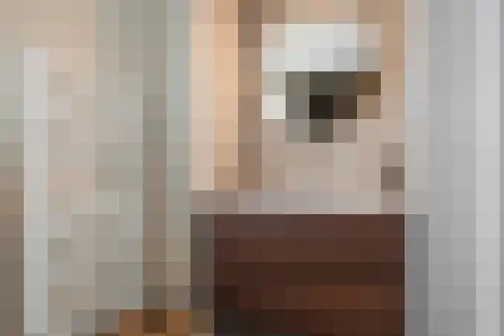 Castorstraat 28 Oudorp thumbnail 25