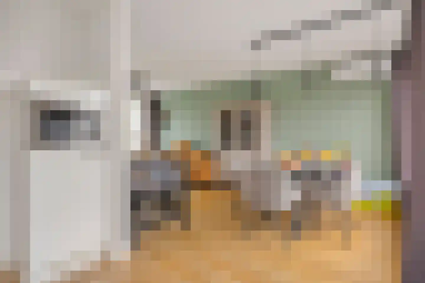 Castorstraat 30 Purmerend thumbnail 14