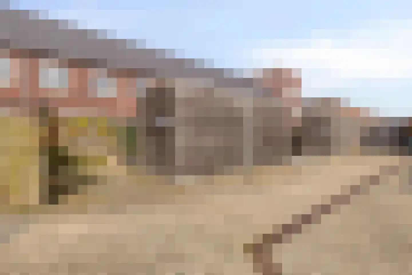 Castorstraat 56 Arnhem thumbnail 21