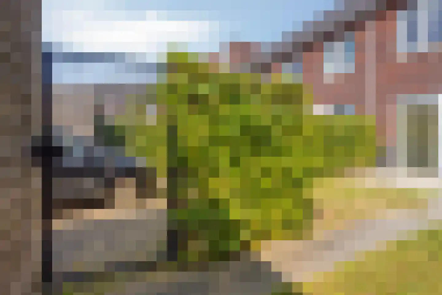 Castorstraat 60 Arnhem thumbnail 21