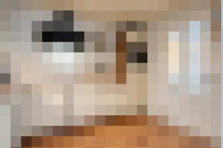 Castorstraat 9 Hardenberg thumbnail 15